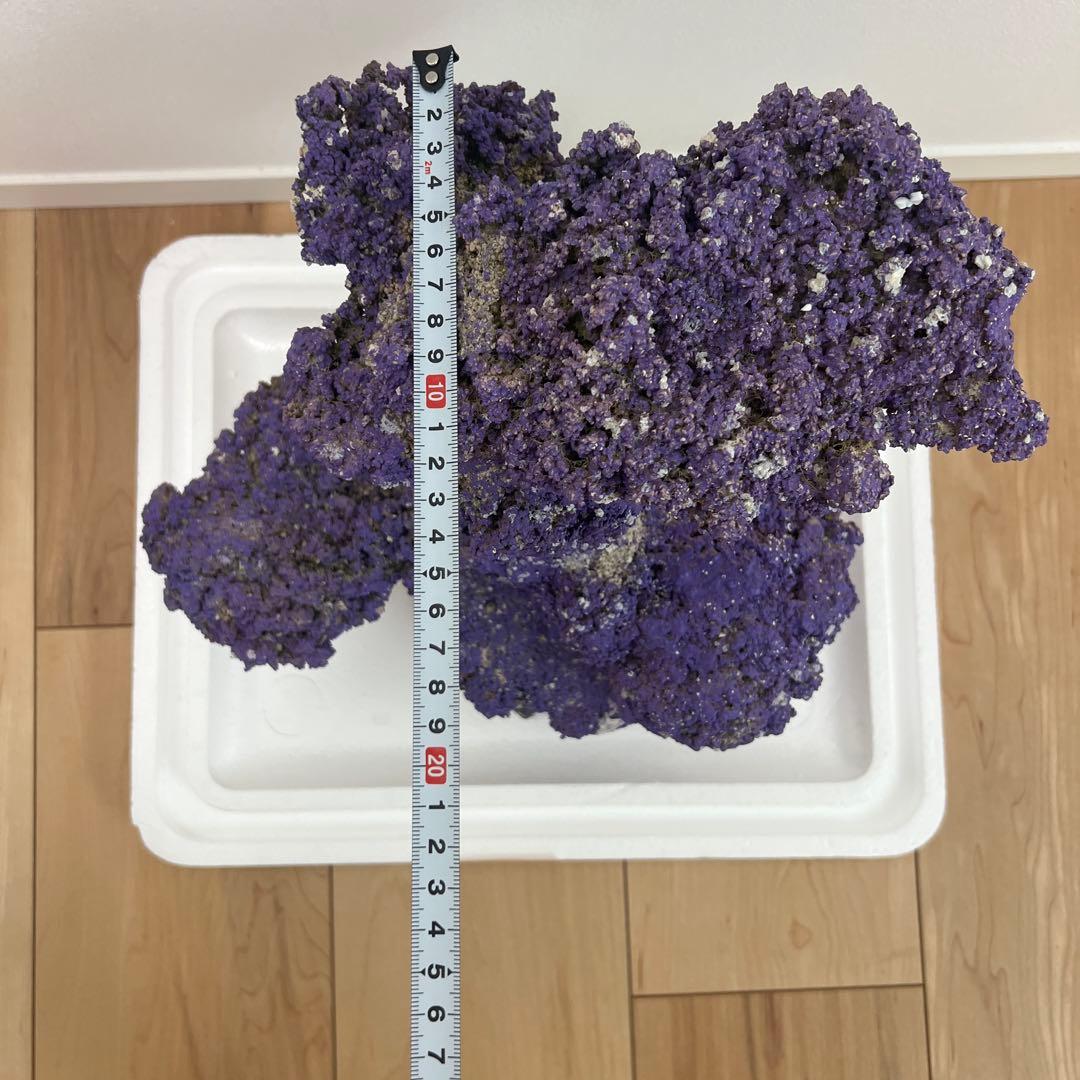 人口ライブロック 偽岩 レプリカライブロック サンゴ 人口 海水 水槽 ②