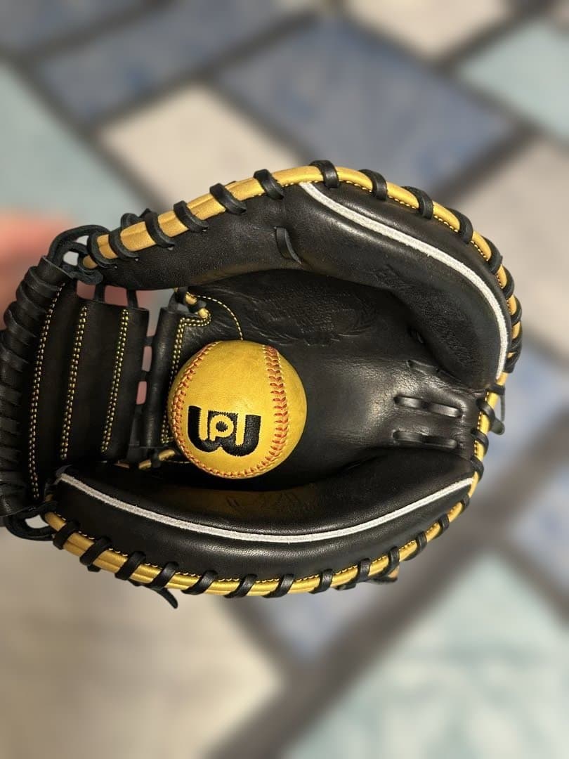 ローリングス硬式キャッチャーミット ウィザード#01 ハタケヤマTGミット