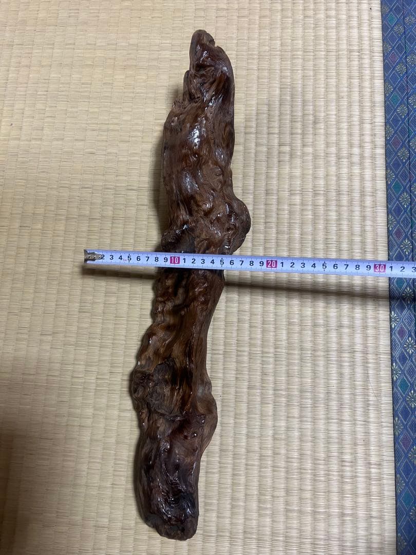 屋久杉　インテリア　瘤　水槽