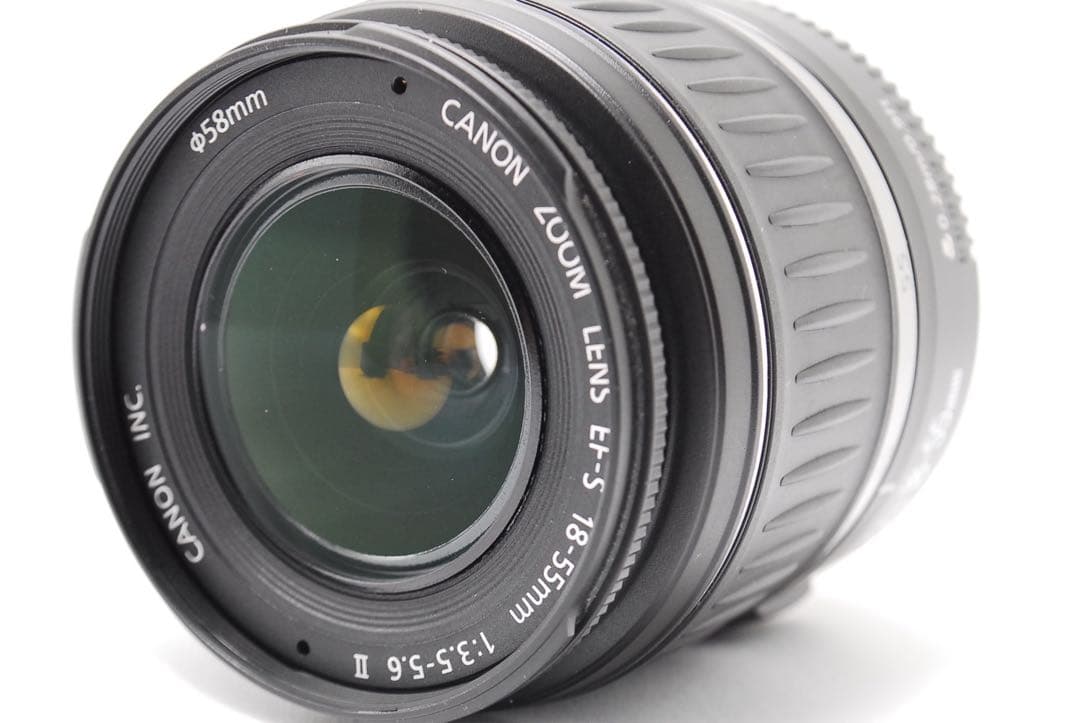 【ショット数極少】初心者にも人気Canon Kiss X2 動作良好