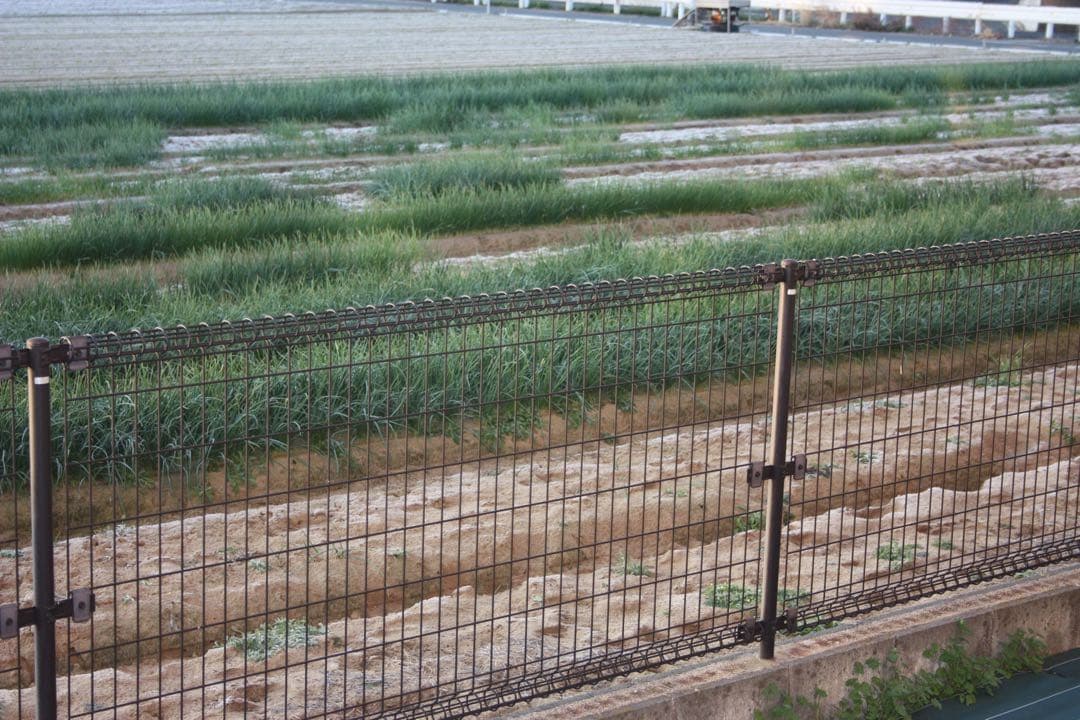 【ショット数極少】初心者にも人気Canon Kiss X2 動作良好