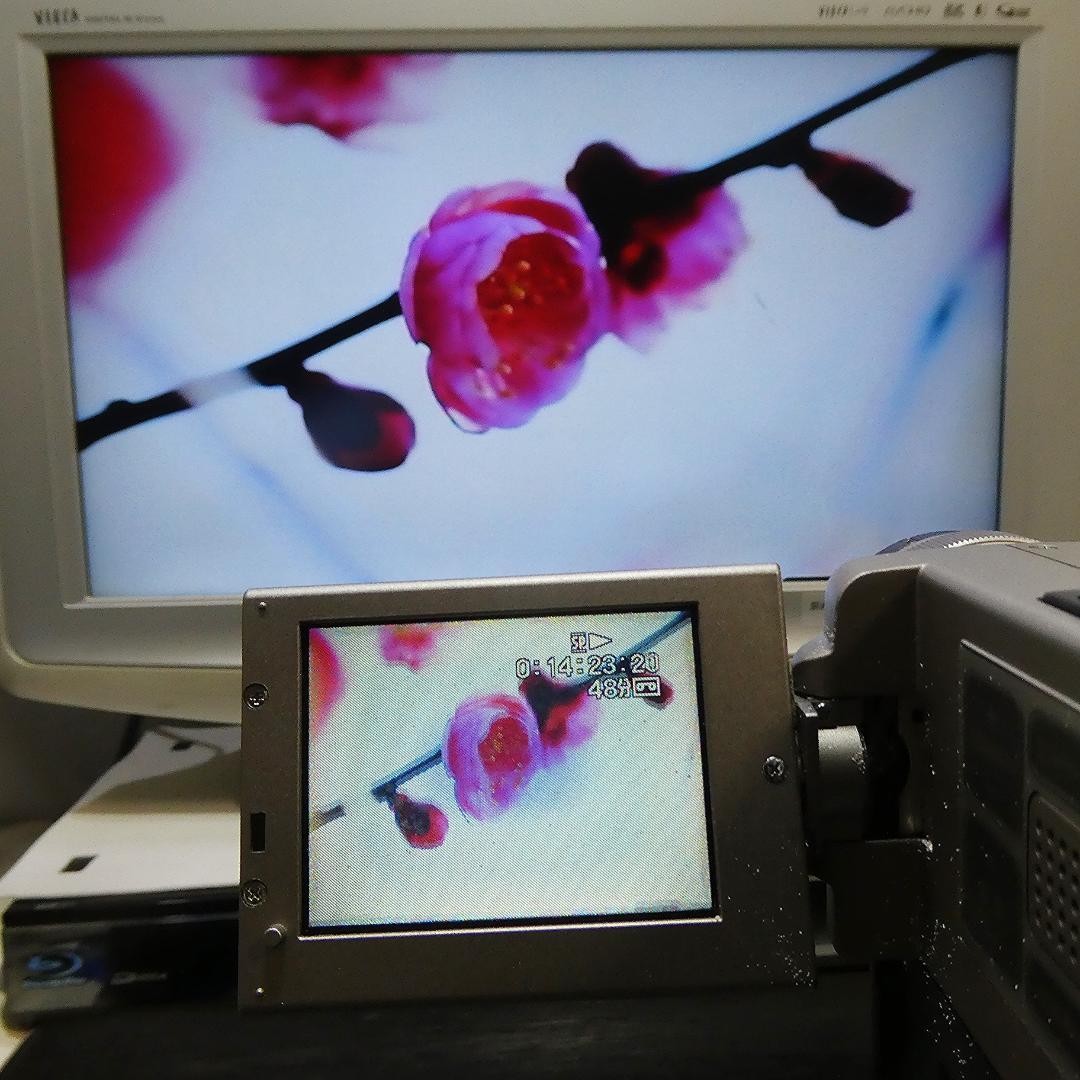 動作品 ソニー DCR-PC7 MiniDVビデオカメラ ダビングに最適 !