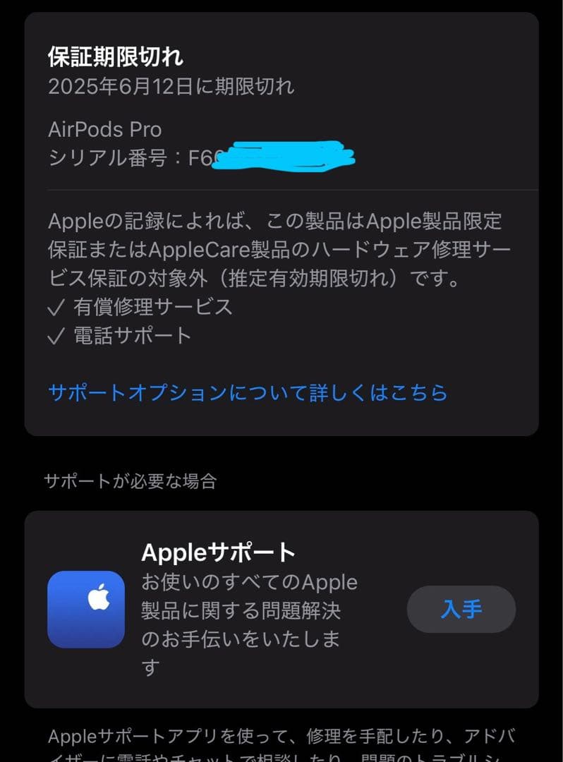 Apple AirPods (第2世代) 本体　イヤーチップ付