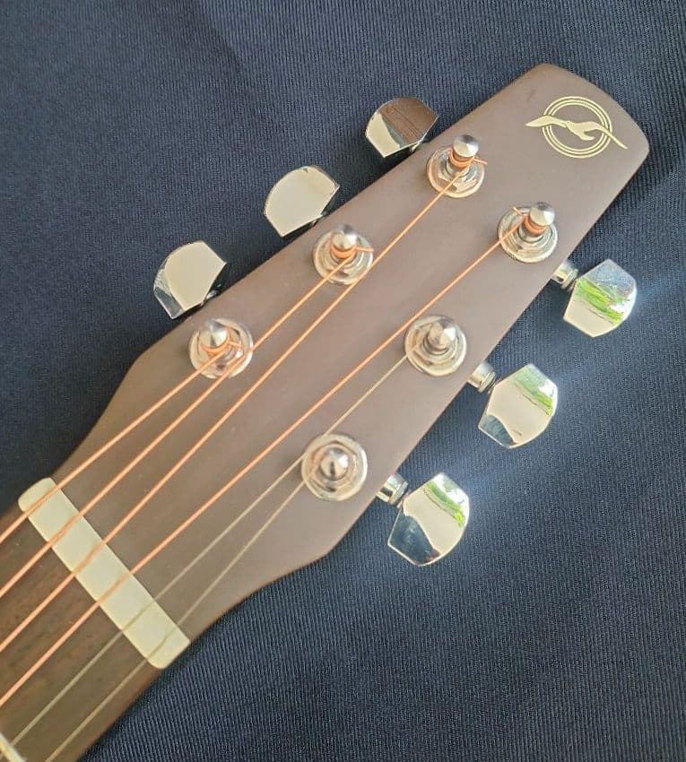 Seagull SM6 Spruce シーガル made in 
