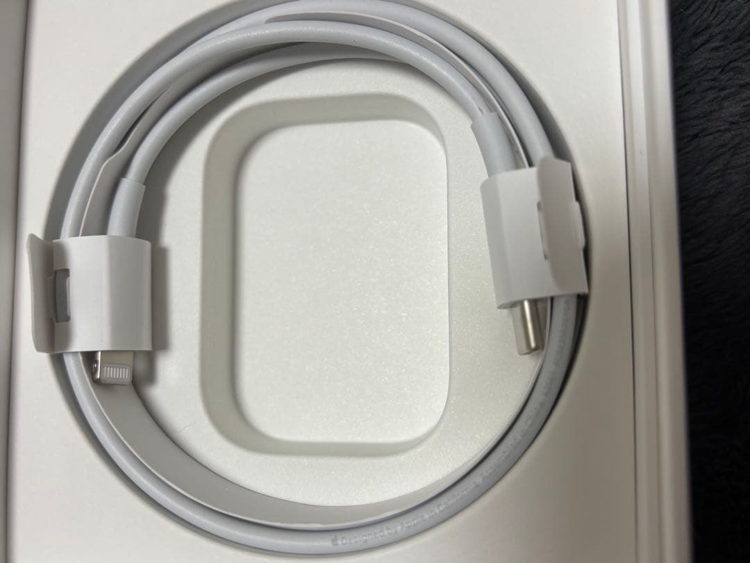 Apple AirPods Pro 第2世代本体