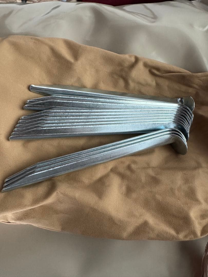 レア　karsten novia 試し張りのみ