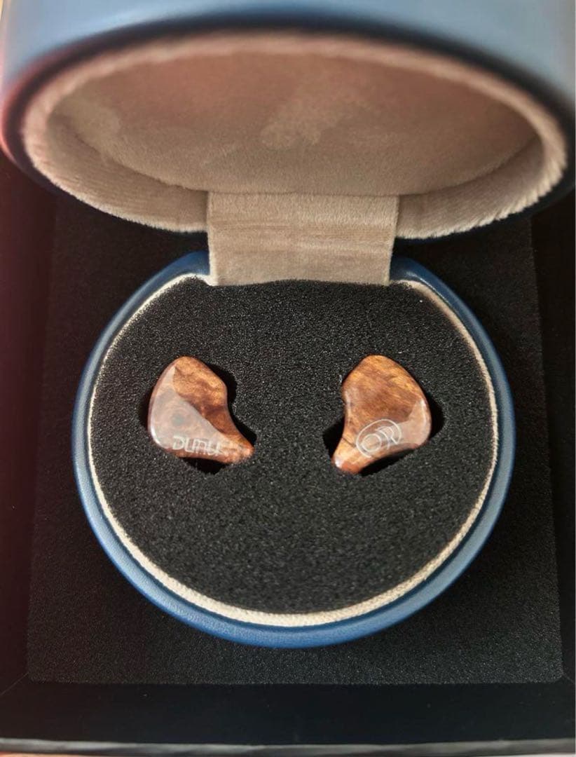 28日まで専用　DUNU-TOPSOUND SA6mk2 残り3年半保証つき