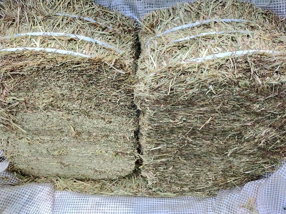 【8/20まで】 カナダ産 チモシー 60kg スーパープレミアム １番刈り