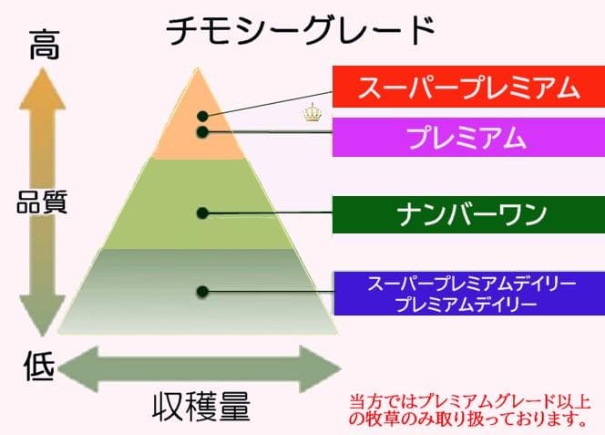 【8/20まで】 カナダ産 チモシー 60kg スーパープレミアム １番刈り