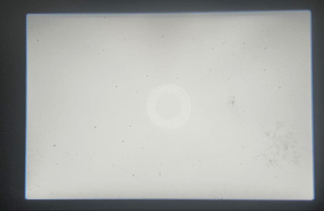 【完動品】　Canon AE-1 + FD 50mm S.S.C　動作確認済