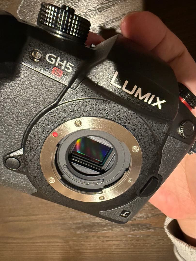 パナソニックLUMIX DC-GH5S 本体レンズセット
