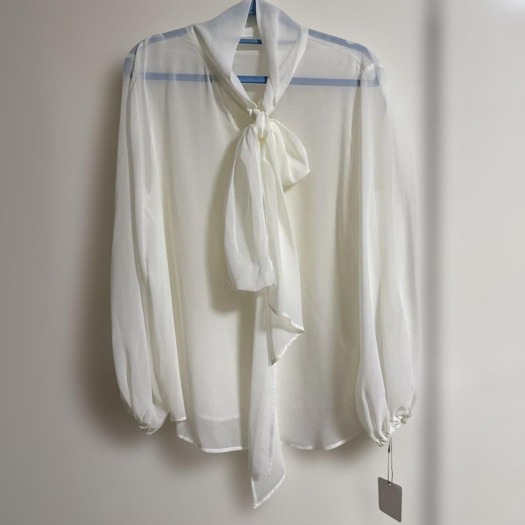 レジーナロマンティコ　未使用ブラウス40