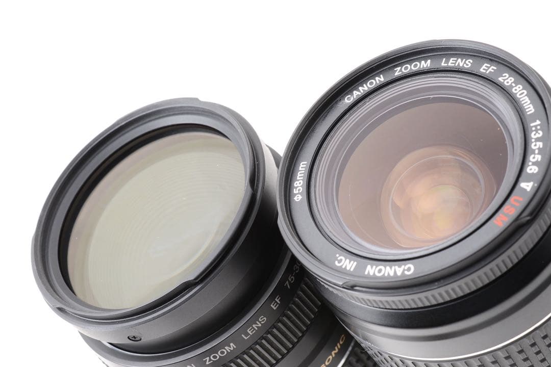 保証/キャノン/Canon EOS 5D Mark IV標準&望遠レンズセット