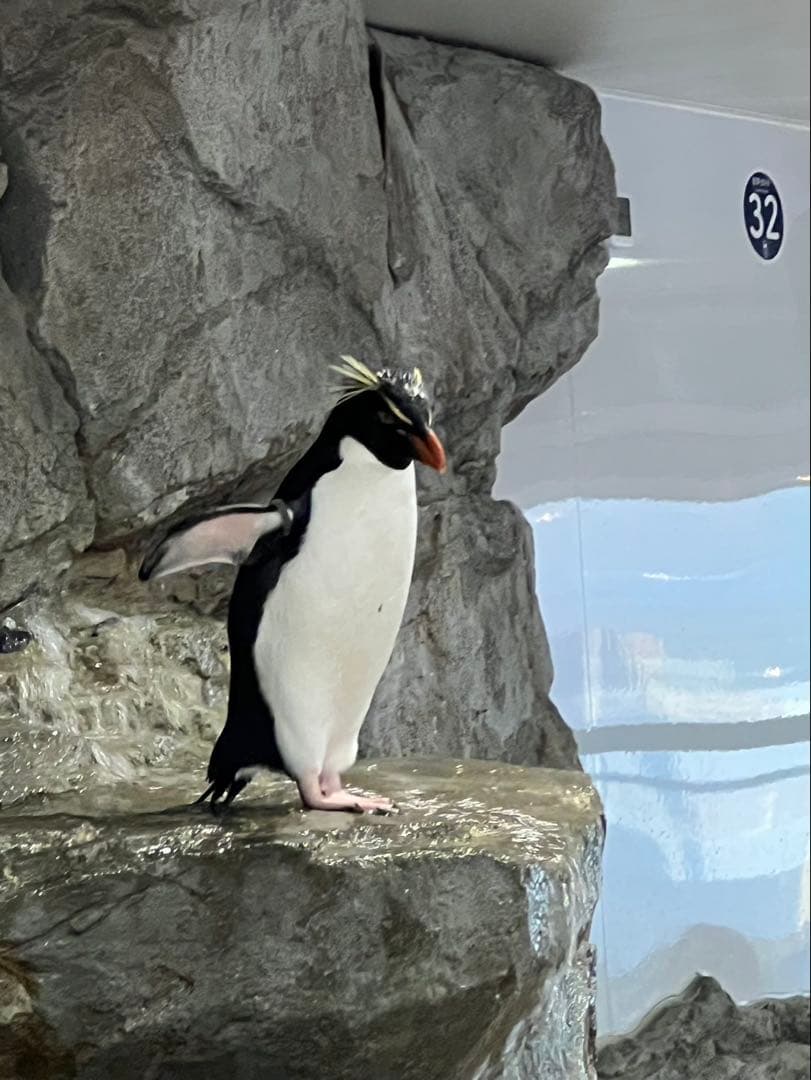 Apple iPhone 13 Pro 128GB バッテリー83% 修理歴無し