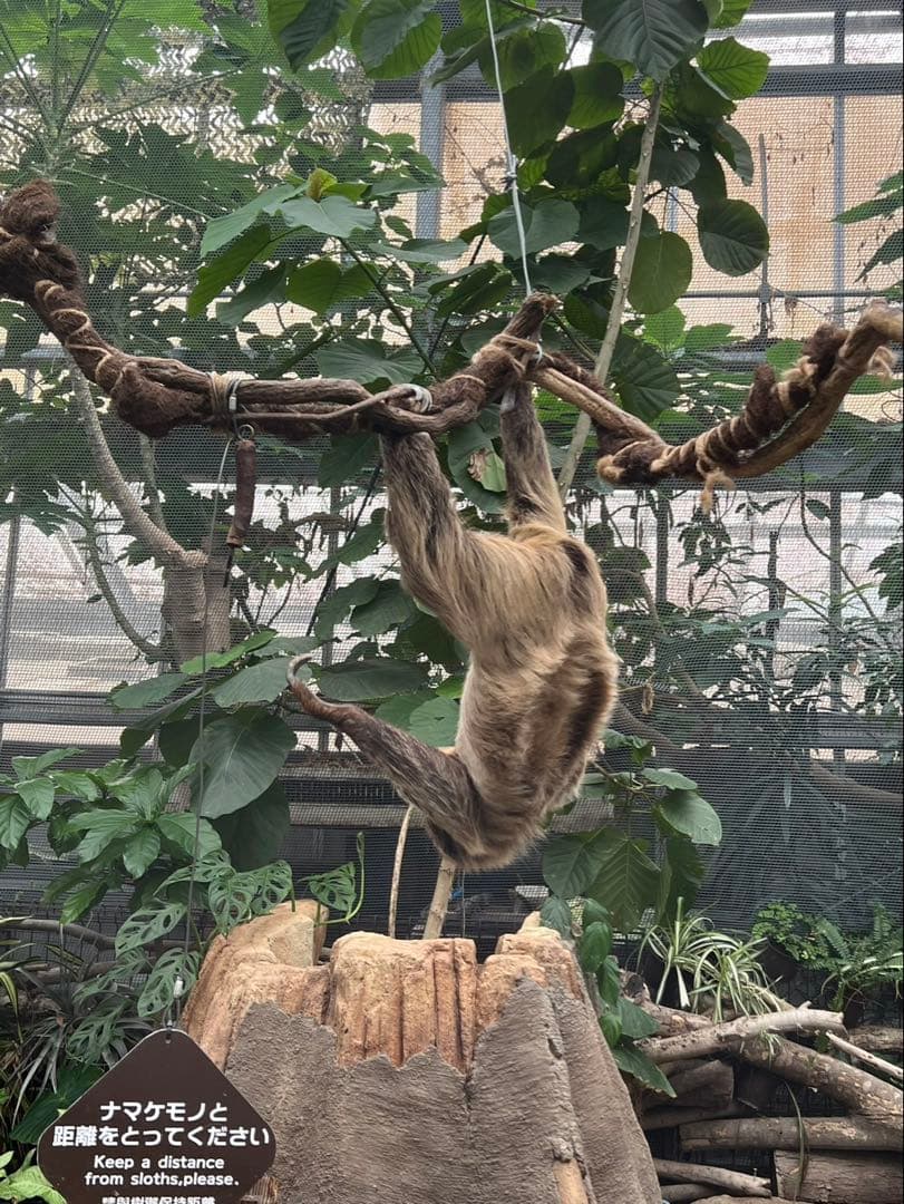 Apple iPhone 13 Pro 128GB バッテリー83% 修理歴無し