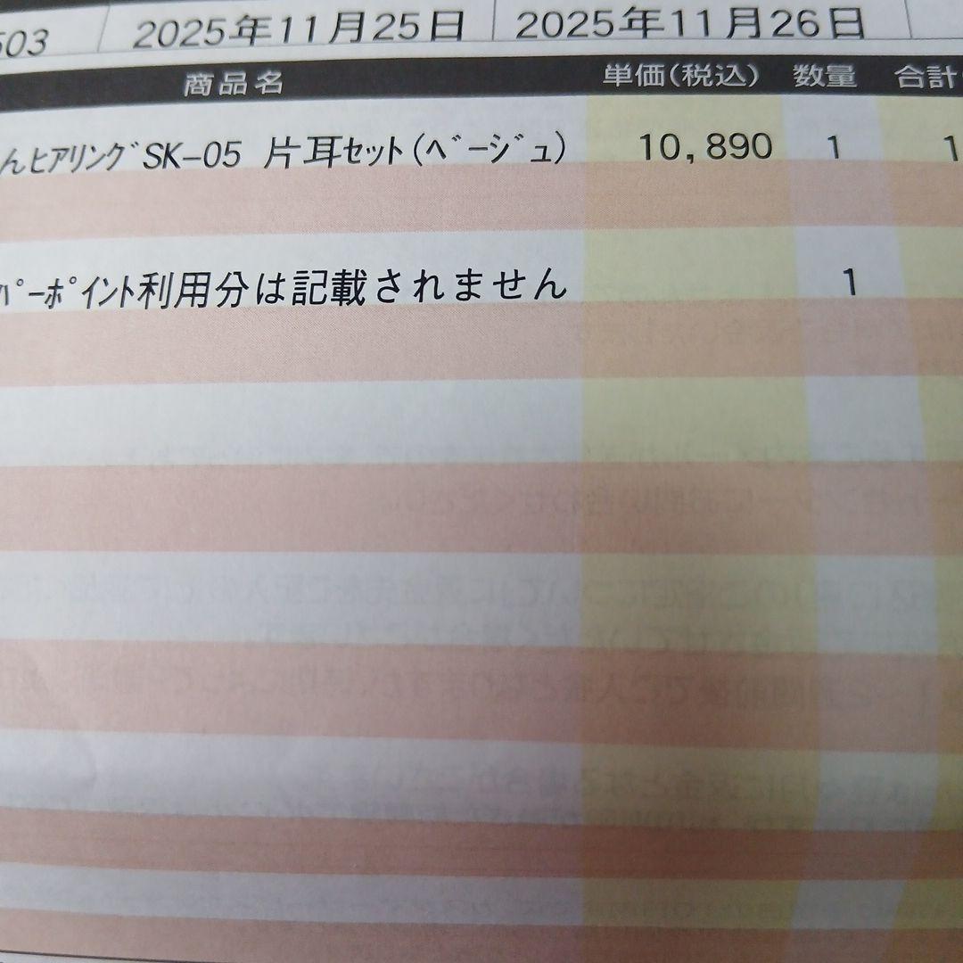 楽ちんヒアリング（集音器）sk_05 片耳ポーチセット