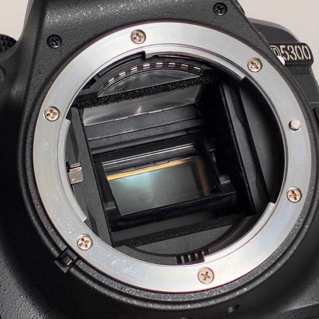 ⭐️美品⭐️ニコン Nikon D5300 & ダブルズームレンズキット