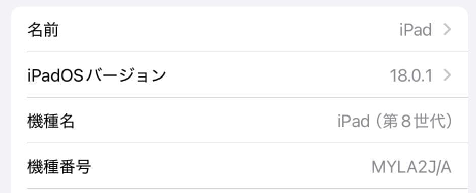 iPad8 第8世代 32GB WiFiモデル ApplePencil ケース付