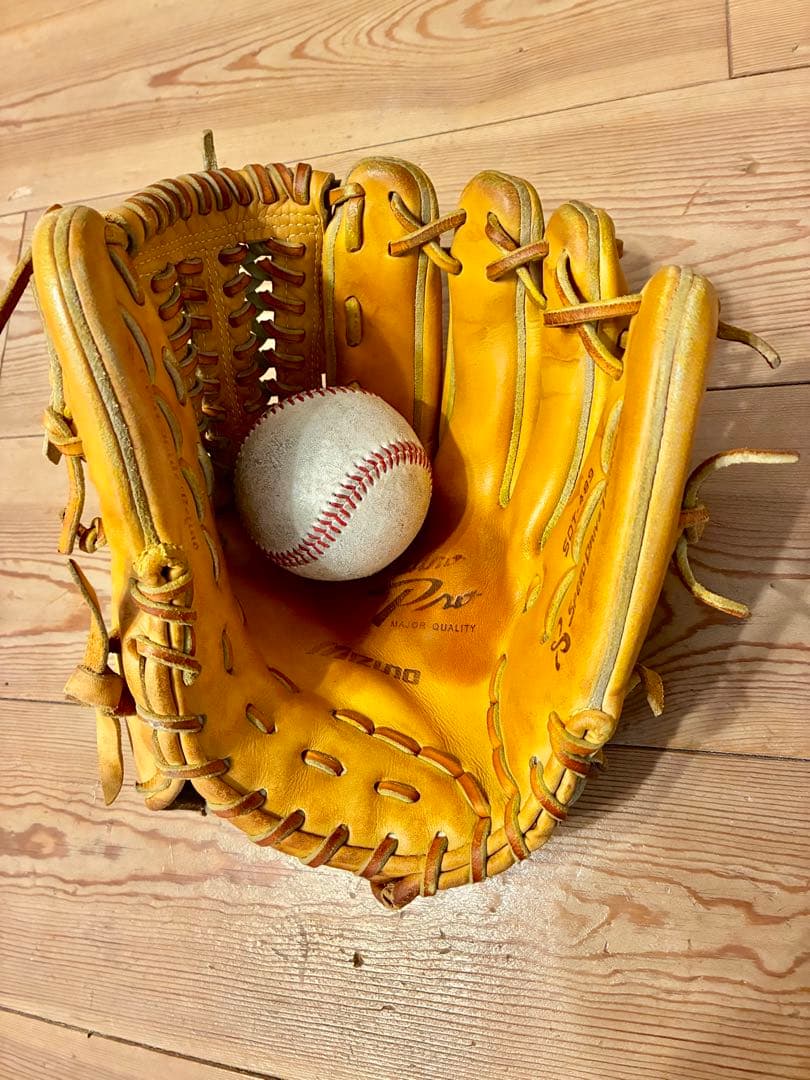Mizuno Pro (ミズノプロ) グローブ