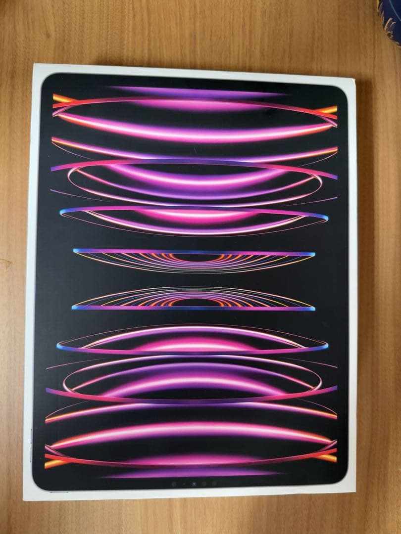 iPad Pro 第6世代 256GB Wi-Fiモデル+cellular