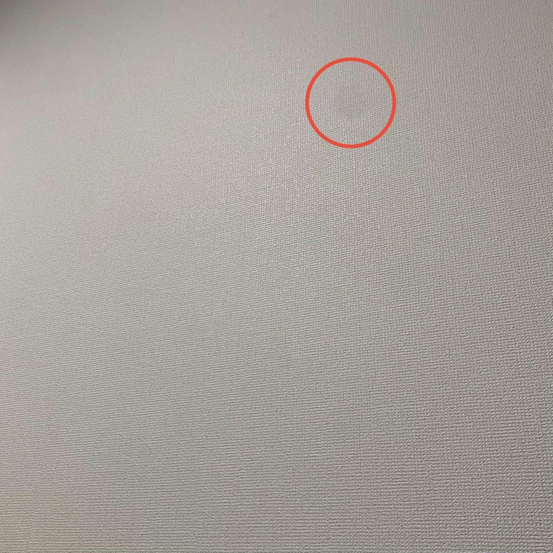 【Apple】iPhone 11 ProMax シルバー