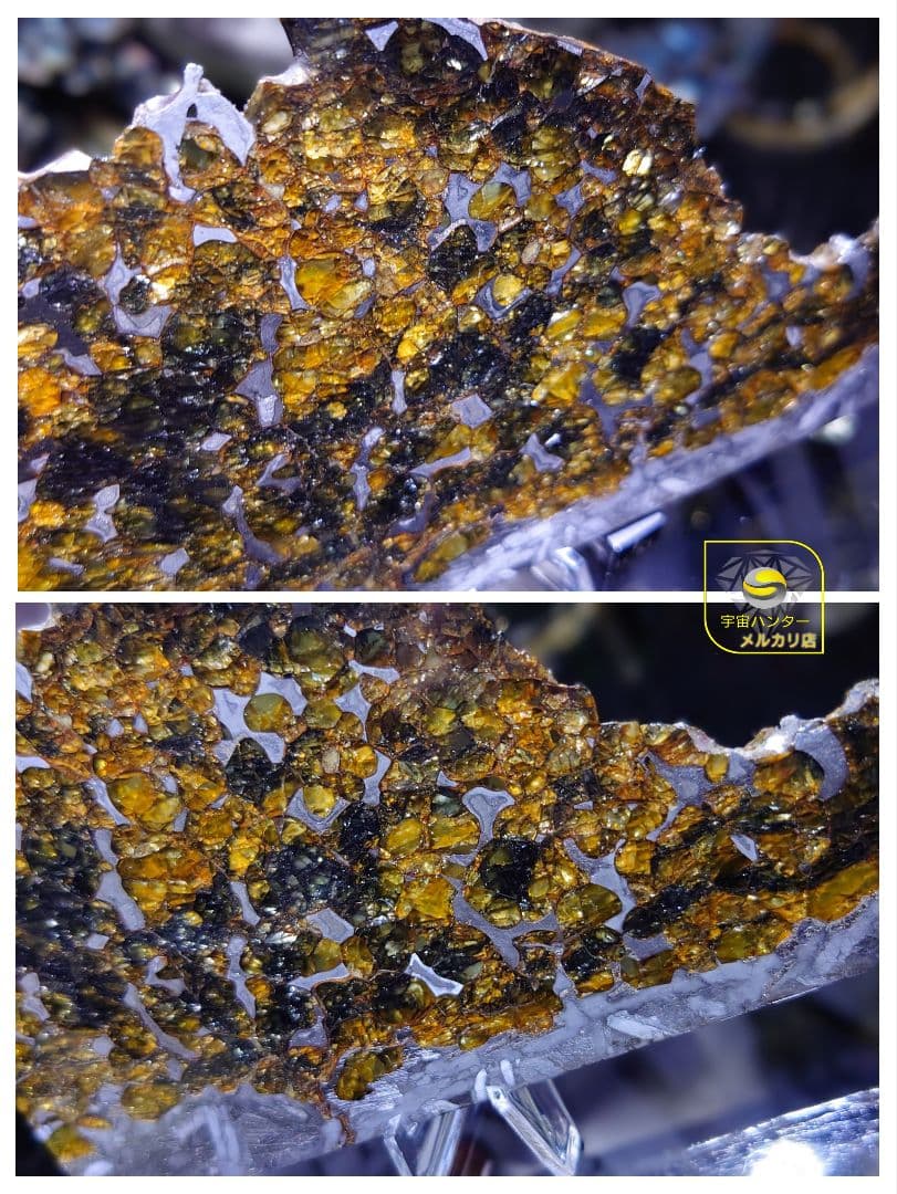 隕石 セイムチャン パラサイト 117.3g ⭐