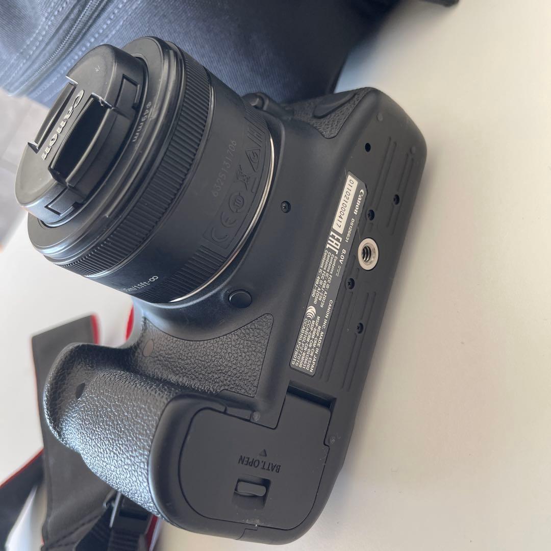 Canon EOS 6D Mark II レンズ2個セット　キャノン