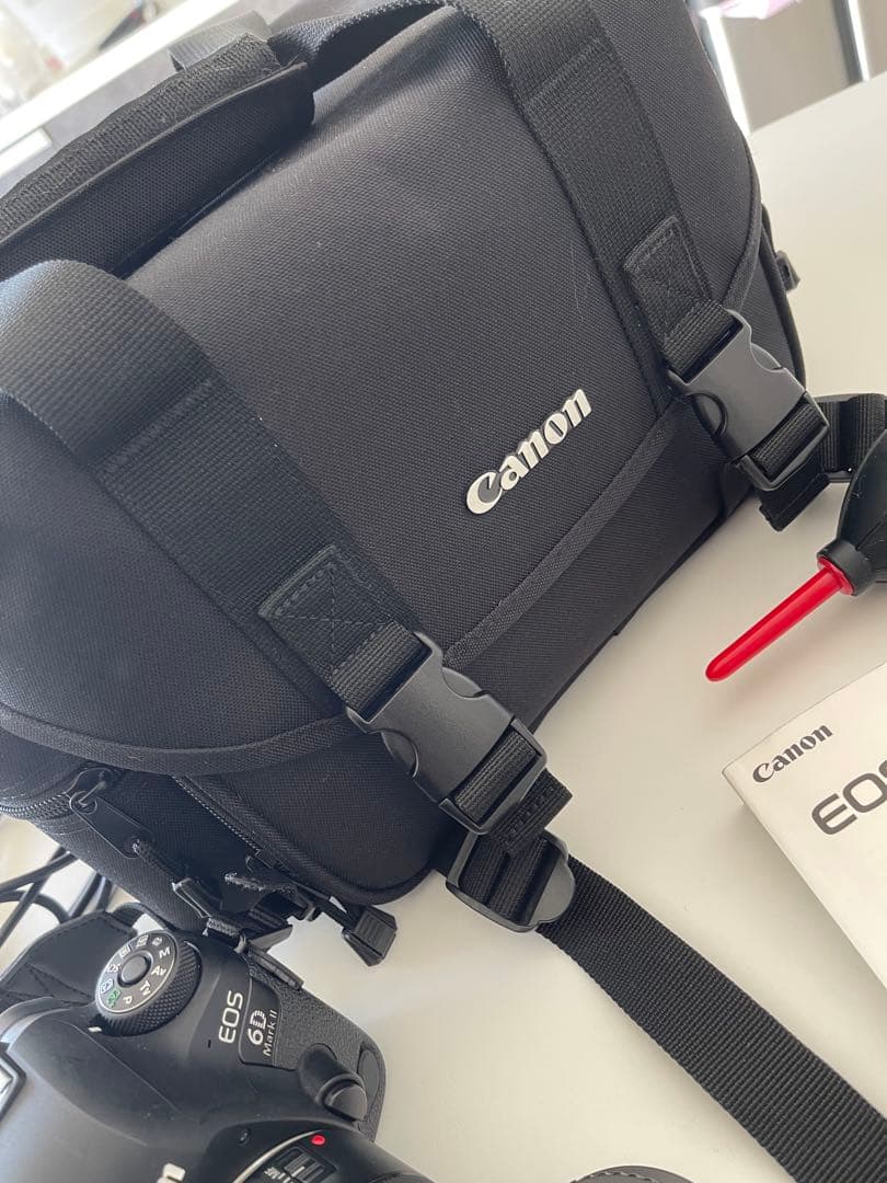 Canon EOS 6D Mark II レンズ2個セット　キャノン