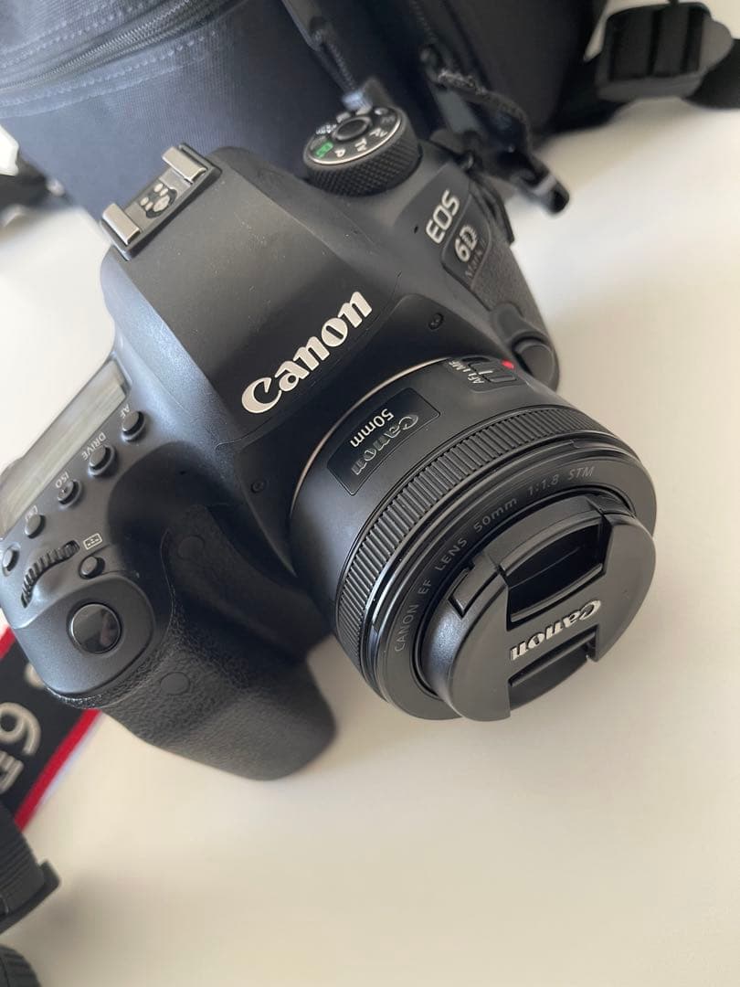 Canon EOS 6D Mark II レンズ2個セット　キャノン