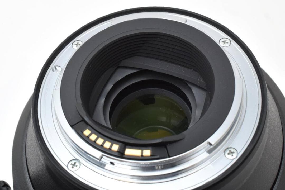 TAMRON 150-600mm F5-6.3 Di VC USD キヤノン用