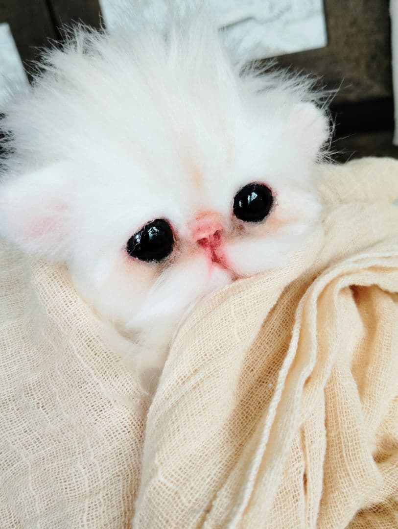 エキゾチック♡子猫のぷんちゃん♡アートドール♡ぬいぐるみ♡