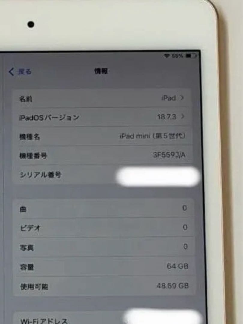 iPad mini 第5世代 64GB wifi ゴールド 3F559J/A