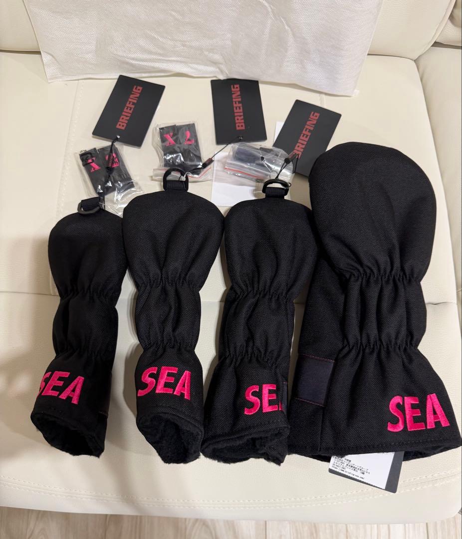 [新品]BRIEFING WIND AND SEA キャリーバッグ