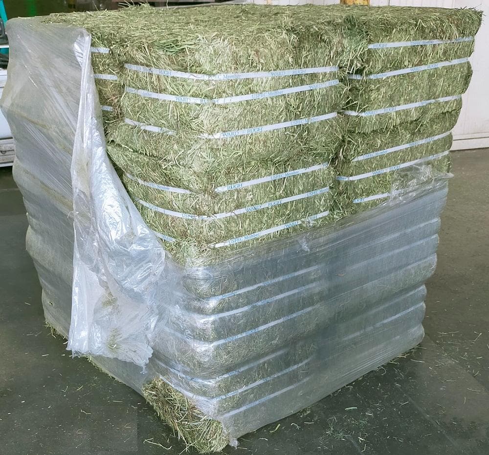 【処分価格】US産 チモシー 50kg ２番刈 ソフトSプレミアム