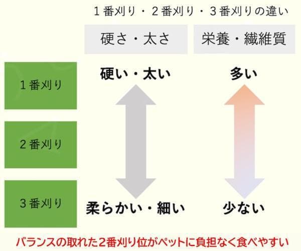 【処分価格】US産 チモシー 50kg ２番刈 ソフトSプレミアム