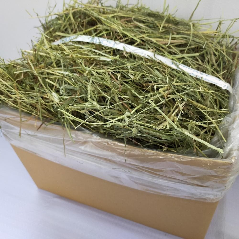 【処分価格】US産 チモシー 50kg ２番刈 ソフトSプレミアム