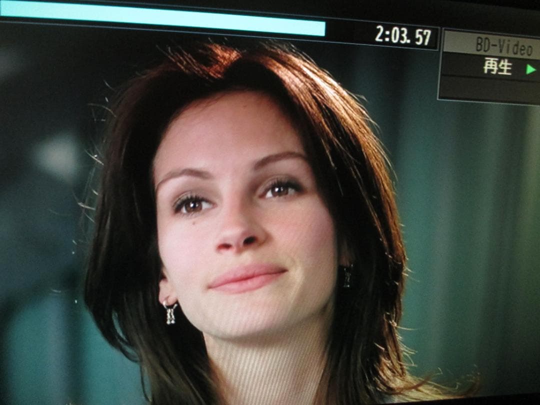 動作良好☆Panasonic ブルーレイディレコーダー750GB 2番組同時録画