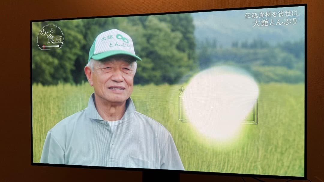 【値下げ】LG 55型 有機EL OLED55B1PJA 2021年 スタンド無