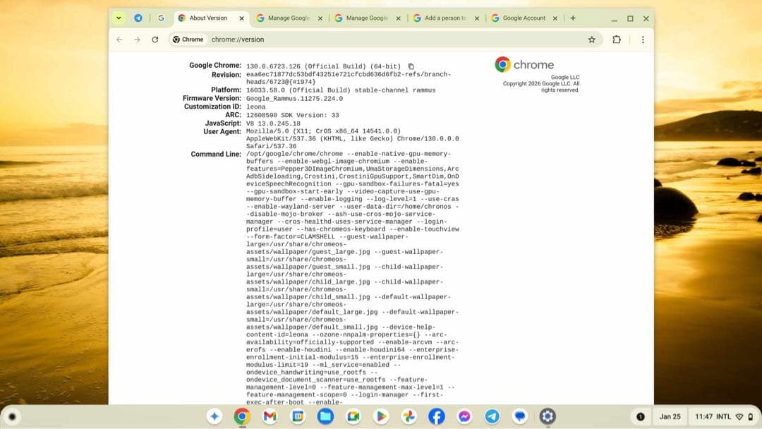Chromebook ASUS 14型 C425TA-AJ0375