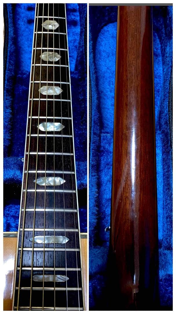 勇*悟様 値下げ希少❣人気種　1973年morris　W-40　ハカランダ！HC