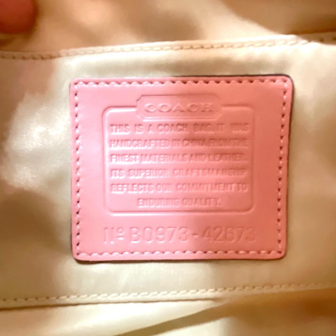 一目惚れ必至❤️COACH　Y2Kムード漂う「隠れた名作」 タトゥーポーチ　ラメ