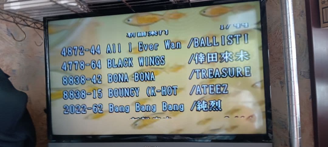 カラオケ機器家庭用JOYSOUND楽宴DⅡ