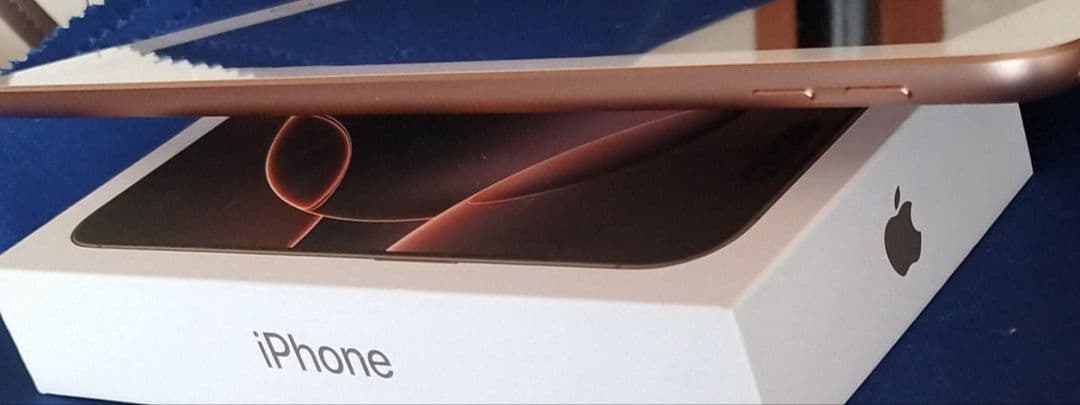 ✿Apple iPad 第6世代 Wi-Fi 32GB 【美品】ゴールド