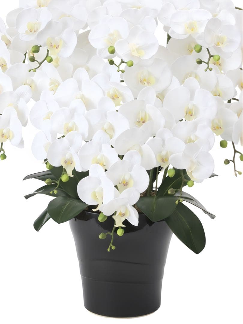光触媒　人工観葉植物　フェイクグリーン　フレッシュ胡蝶蘭8本立Ｗ 高さ75cm