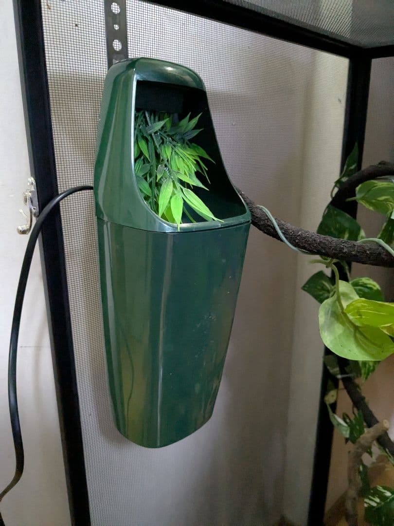 GEX カメレオン飼育１１点セット　エキゾテラスクリーンテラリウム４５９０