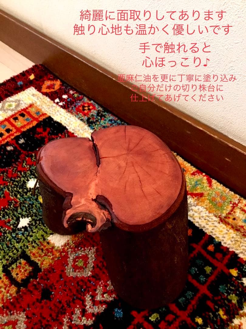 希少縁起木！天然木斛【年輪2つ！森と大自然の切り株飾り台】インテリア台＊植物台