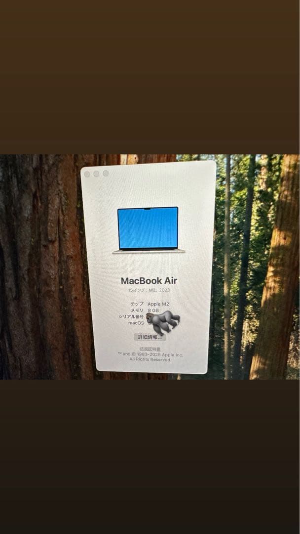 MacBook Air M2 8GB 15インチ