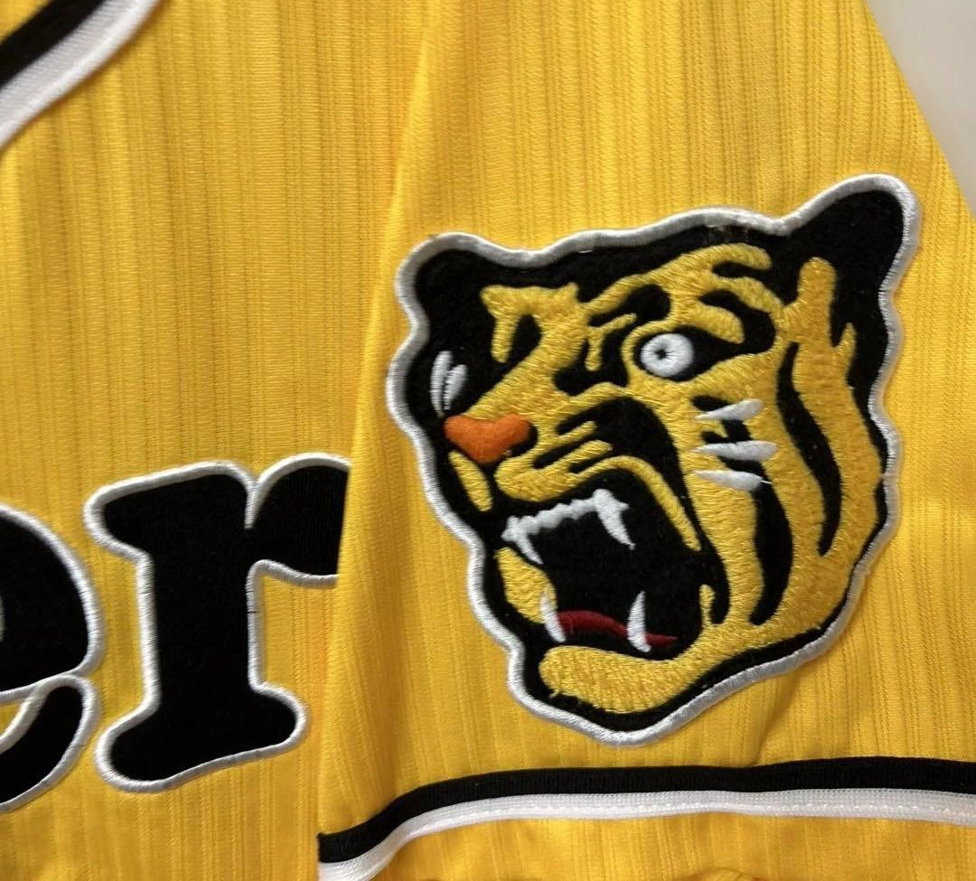 阪神タイガース　横田、梅野、岩崎、岩貞、中谷　2013ドラフト同期or九州人会