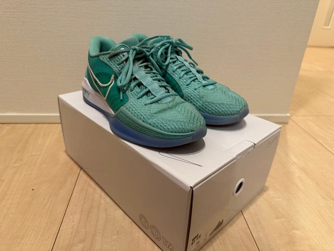 シューズ(男性用) Sabrina1 28cm (Nike By you)