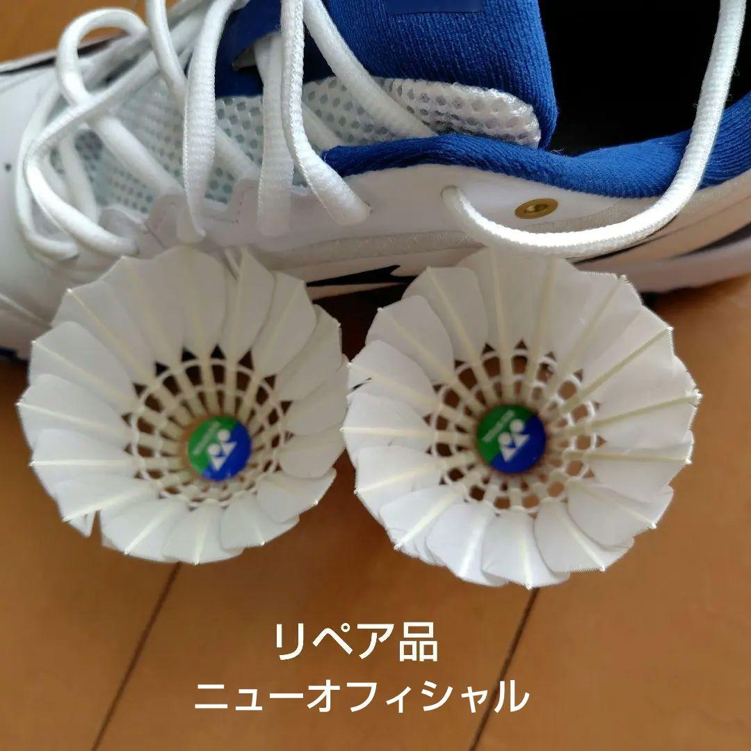 ミズノ ウェーブクロー4 FIT バドミントンシューズ WAVE CLAW4